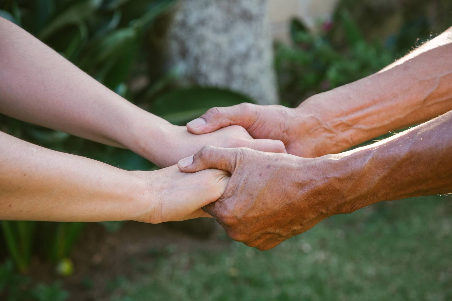 Sign Up to Volunteer